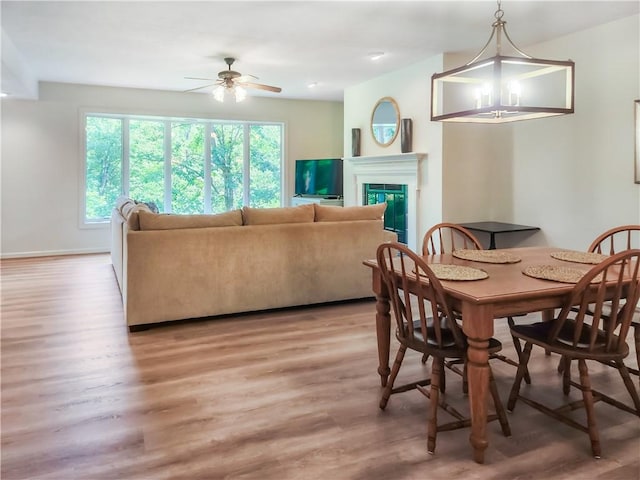 dining area featuring hardwood / wood-style floors and ceiling fan