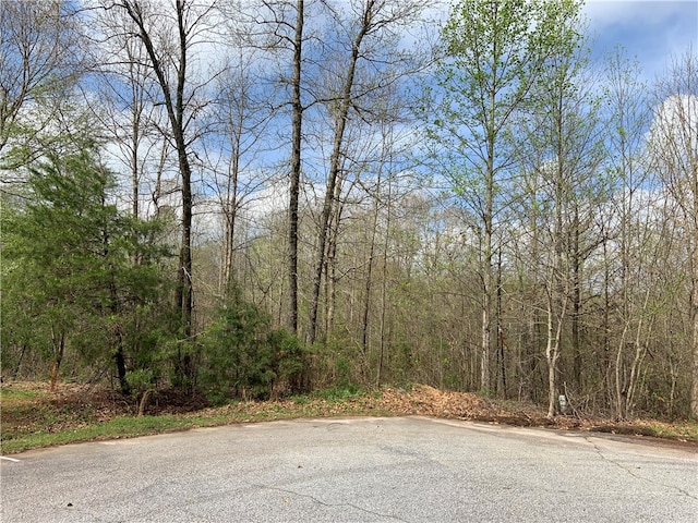 Listing photo 3 for LOT12 Summer Walk Ct, Seneca SC 29678