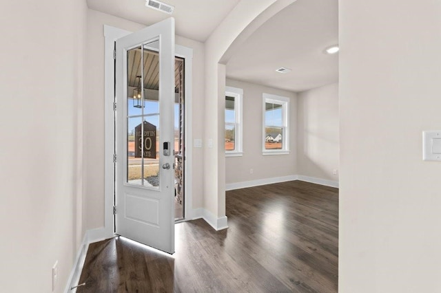 foyer entrance featuring a healthy amount of sunlight and dark hardwood / wood-style flooring