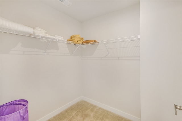 spacious closet with carpet