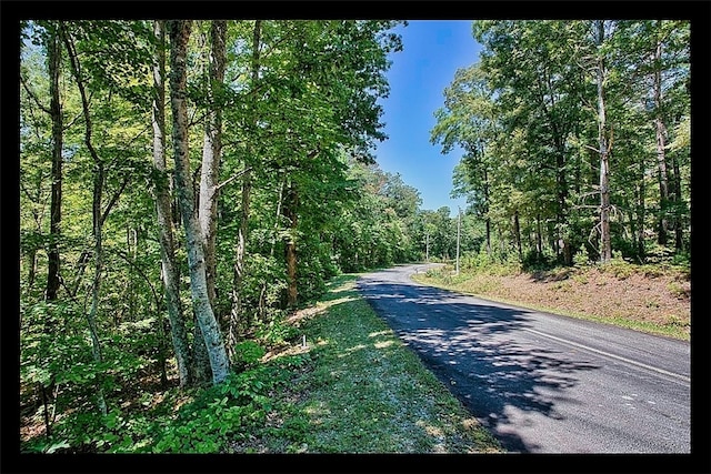 LOT13 Right Branch Dr, Mountain Rest SC, 29664 land for sale