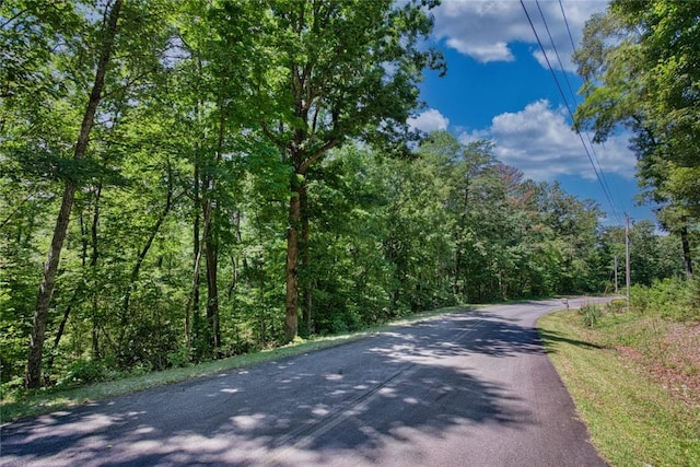 LOT13 Right Branch Dr, Mountain Rest, SC 29664 - photo 4