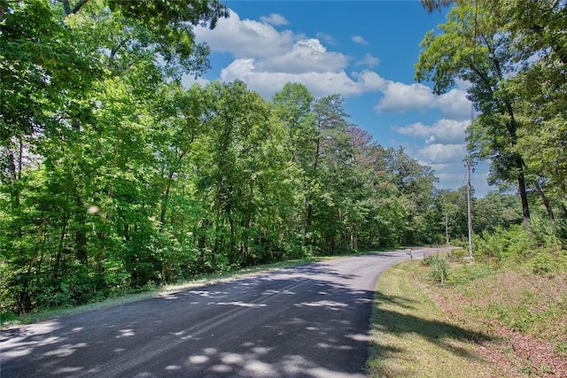 LOT13 Right Branch Dr, Mountain Rest, SC 29664 - photo 5