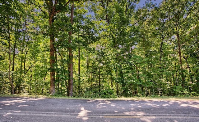 LOT13 Right Branch Dr, Mountain Rest, SC 29664 - photo 6