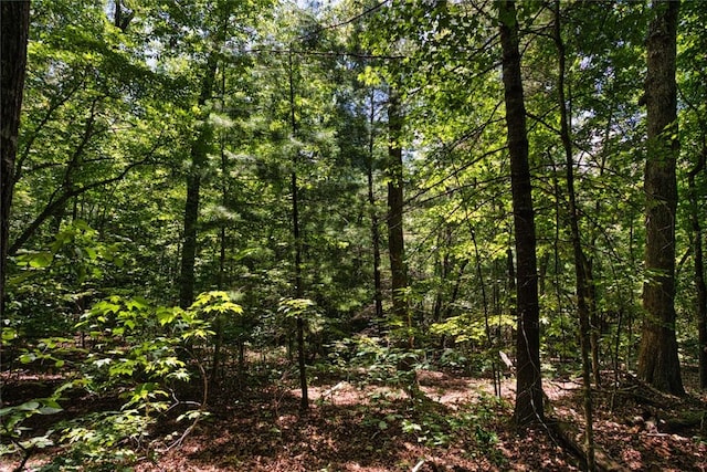 LOT13 Right Branch Dr, Mountain Rest, SC 29664 - photo 7