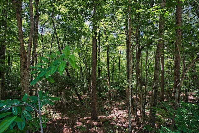 LOT13 Right Branch Dr, Mountain Rest, SC 29664 - photo 8