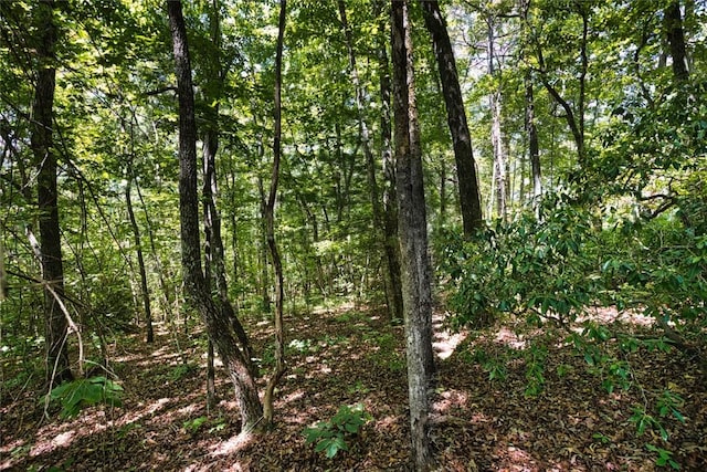 LOT13 Right Branch Dr, Mountain Rest, SC 29664 - photo 9