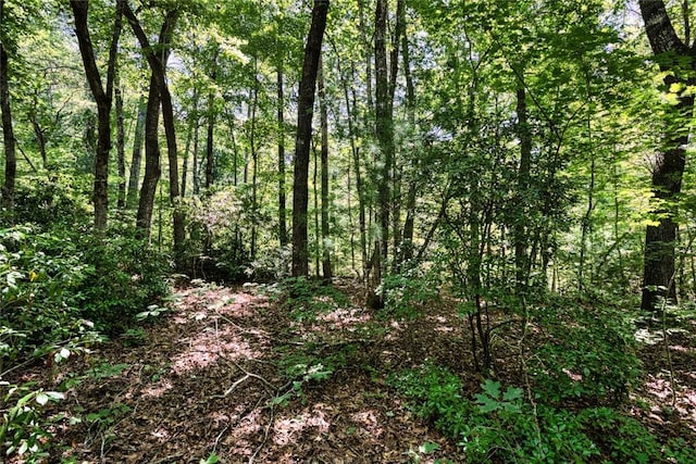 LOT13 Right Branch Dr, Mountain Rest, SC 29664 - photo 10