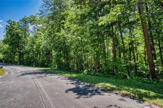 LOT13 Right Branch Dr, Mountain Rest, SC 29664 - photo 11