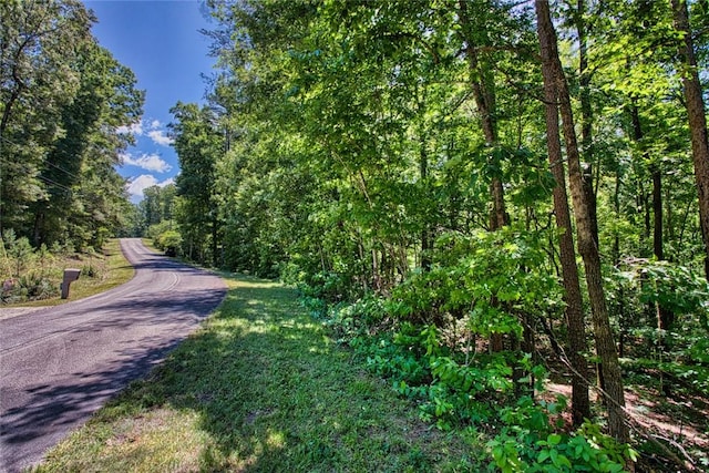 LOT13 Right Branch Dr, Mountain Rest, SC 29664 - photo 12