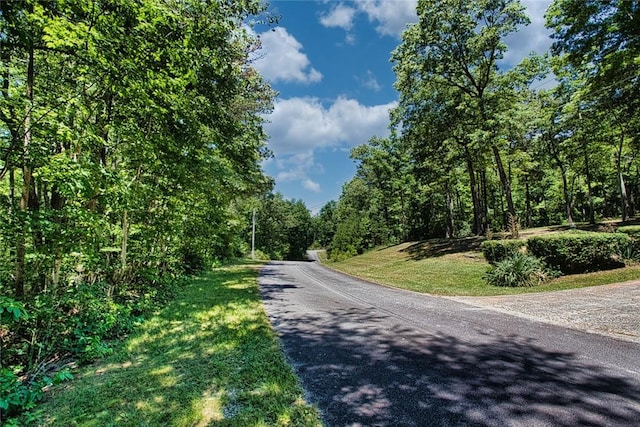 LOT13 Right Branch Dr, Mountain Rest, SC 29664 - photo 13