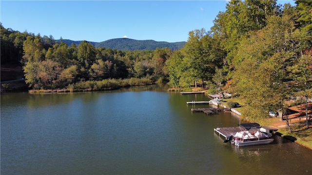 property view of water featuring a mountain view and a boat dock