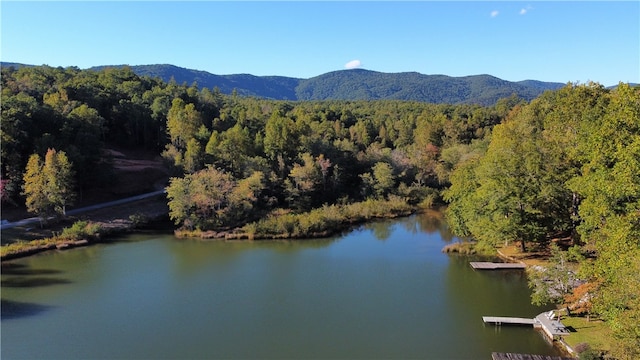 aerial view featuring a water and mountain view