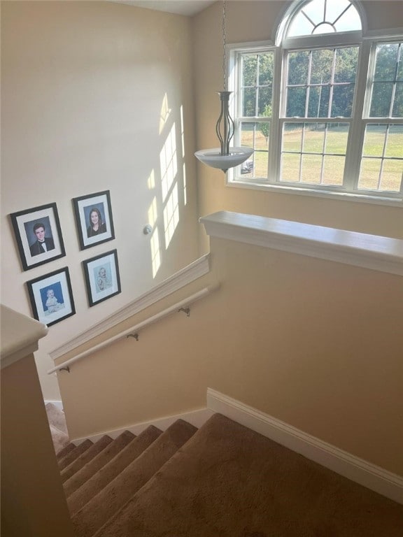 staircase featuring carpet flooring