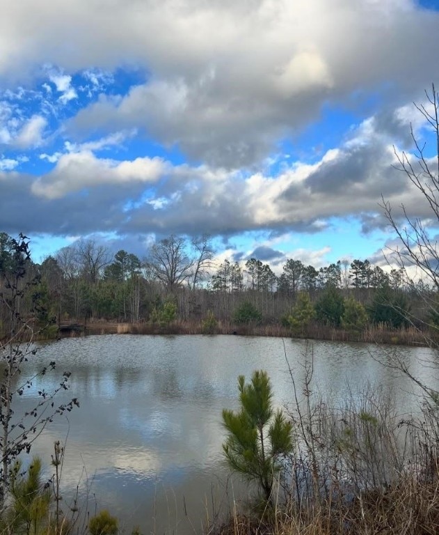 water view with a view of trees