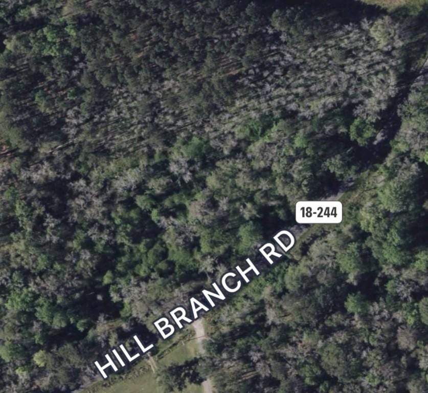 00 Hill Branch Rd, Ridgeville, SC 29472