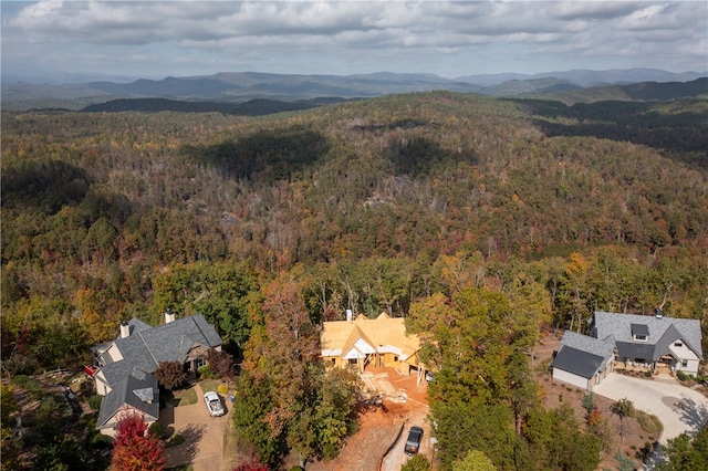 birds eye view of property featuring a mountain view