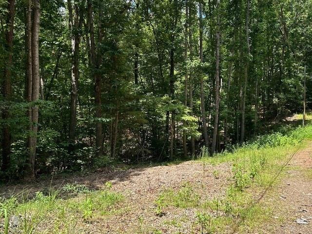 Listing photo 2 for LOT81 Blue Ridge Ct, Westminster SC 29693