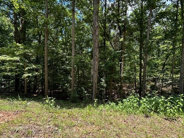 Listing photo 3 for LOT81 Blue Ridge Ct, Westminster SC 29693