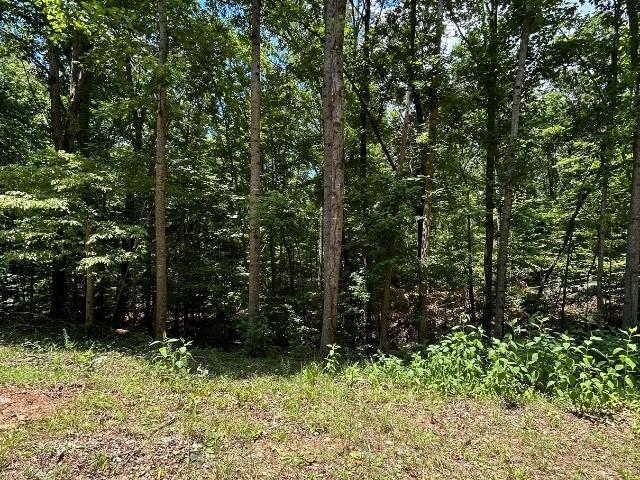 LOT81 Blue Ridge Ct, Westminster, SC 29693