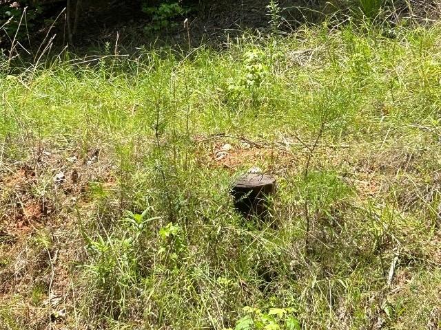 LOT81 Blue Ridge Ct, Westminster, SC 29693