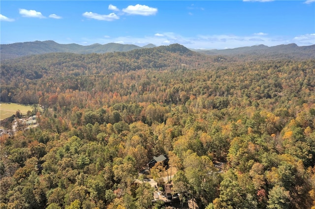 property view of mountains