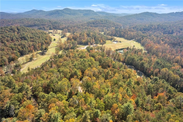 birds eye view of property featuring a mountain view