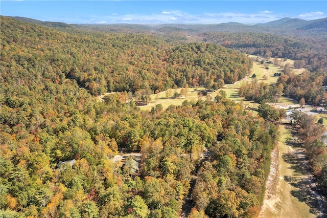 drone / aerial view with a mountain view