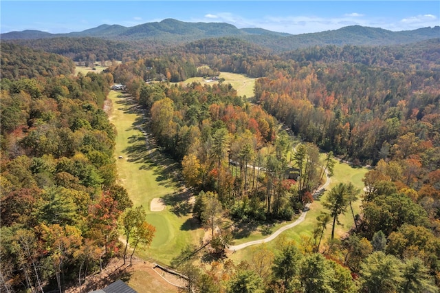 drone / aerial view featuring a mountain view