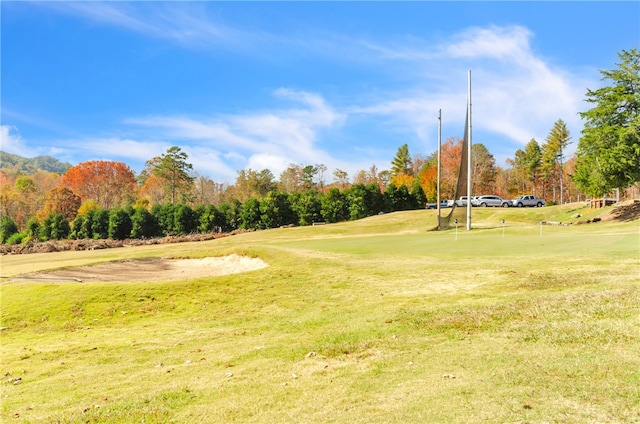 view of community with a yard