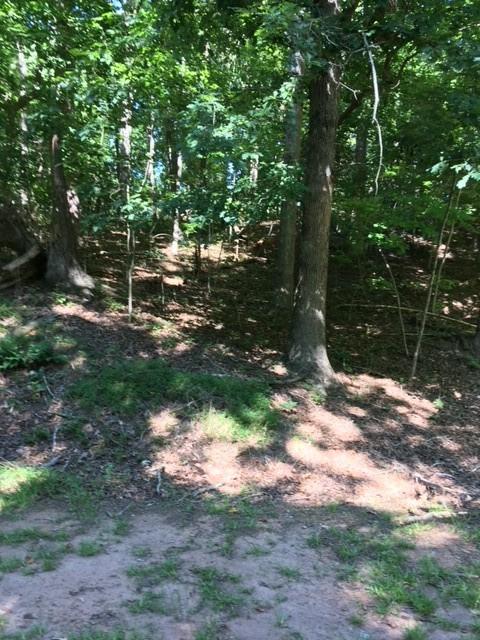 118 N Foxglove Rd, Westminster, SC 29693