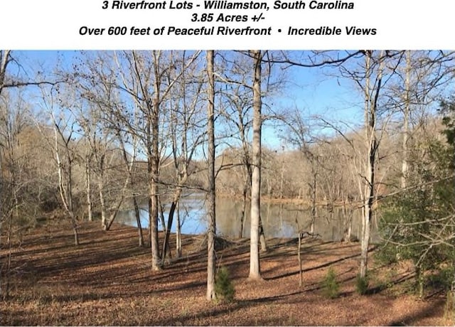 Listing photo 3 for 430 Saluda Rd, Williamston SC 29697