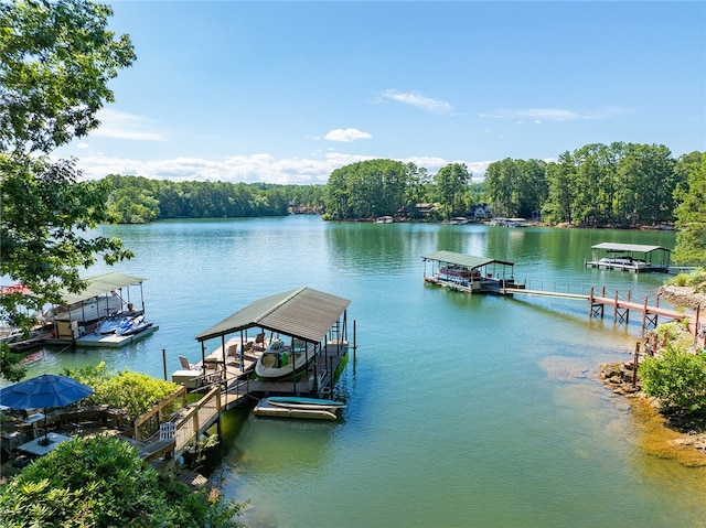 dock area with a water view