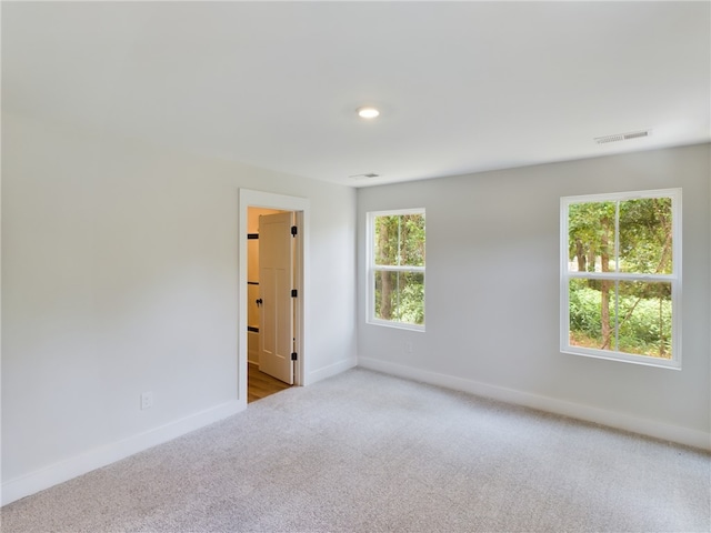 carpeted empty room featuring a wealth of natural light