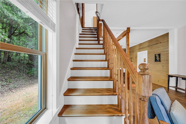 stairs featuring wood-type flooring and wood walls