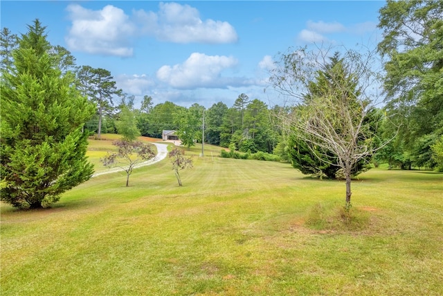 view of yard