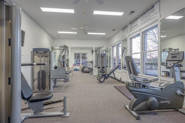 workout area featuring ceiling fan