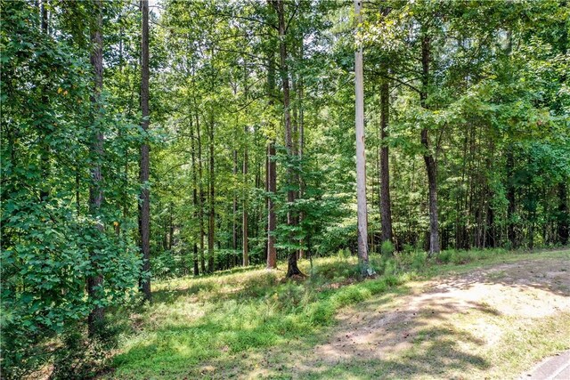 LOT62 Hearthstone Way, Salem, SC 29676 - photo 4