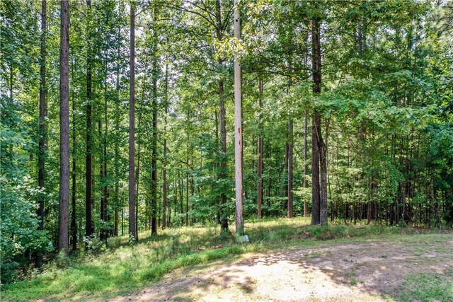 LOT62 Hearthstone Way, Salem, SC 29676 - photo 5