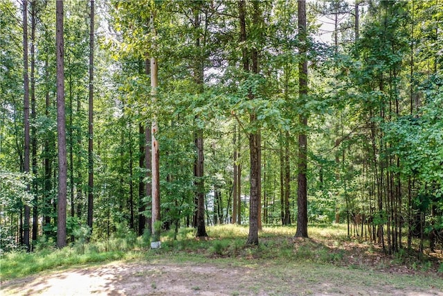 LOT62 Hearthstone Way, Salem, SC 29676 - photo 7