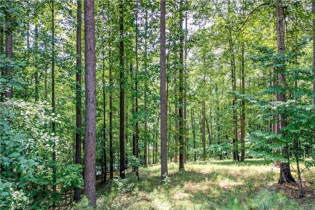 LOT62 Hearthstone Way, Salem, SC 29676 - photo 8