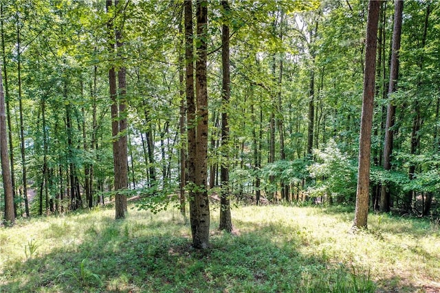 LOT62 Hearthstone Way, Salem, SC 29676 - photo 11
