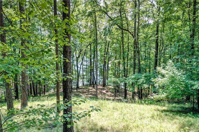 LOT62 Hearthstone Way, Salem, SC 29676 - photo 12
