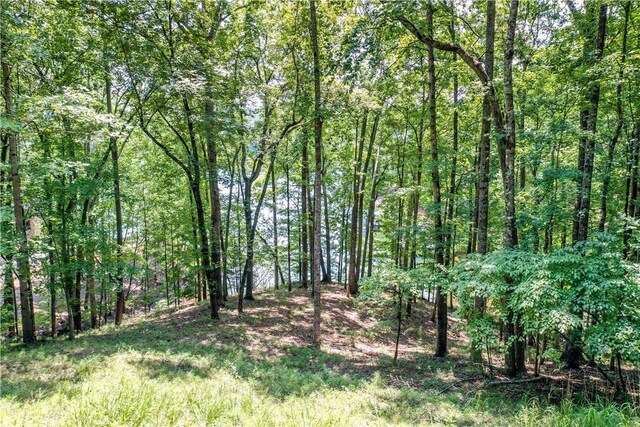 LOT62 Hearthstone Way, Salem, SC 29676 - photo 14
