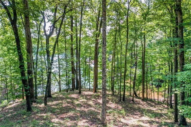 LOT62 Hearthstone Way, Salem, SC 29676 - photo 15