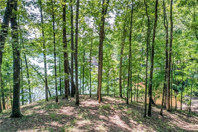 LOT62 Hearthstone Way, Salem, SC 29676 - photo 16