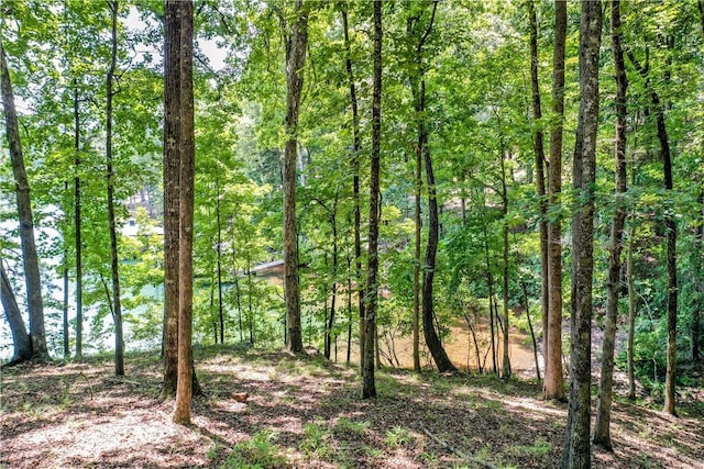 LOT62 Hearthstone Way, Salem, SC 29676 - photo 17