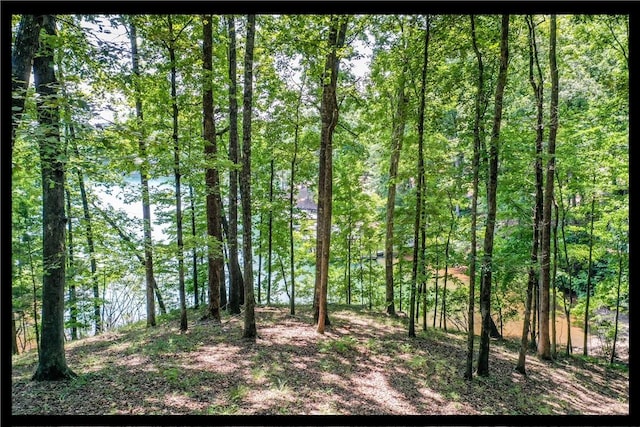 LOT62 Hearthstone Way, Salem, SC 29676 - photo 1