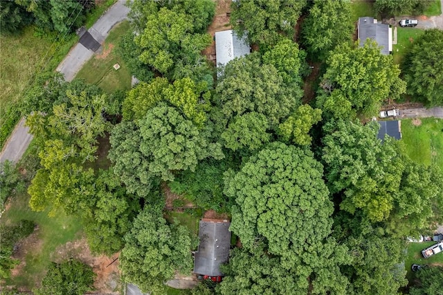 4 Park St, Williamston, SC 29697 - photo 7