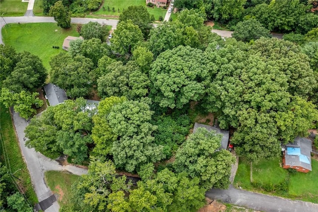 4 Park St, Williamston, SC 29697 - photo 8